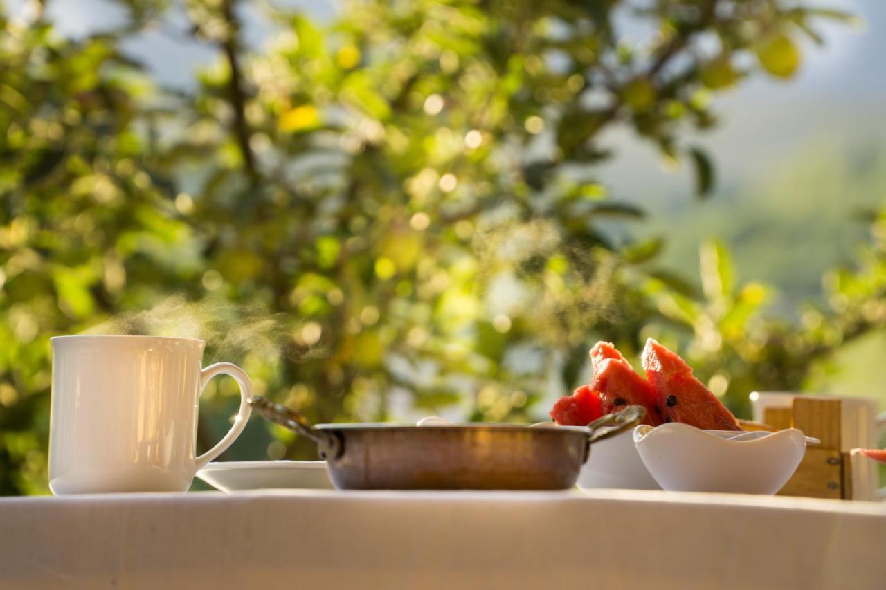 Cukurbag  Aladaglar Mountain Hostel المظهر الخارجي الصورة